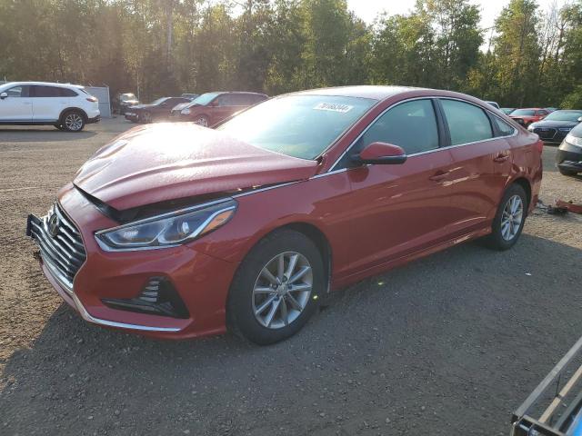 hyundai sonata se 2019 5npe24af7kh803033