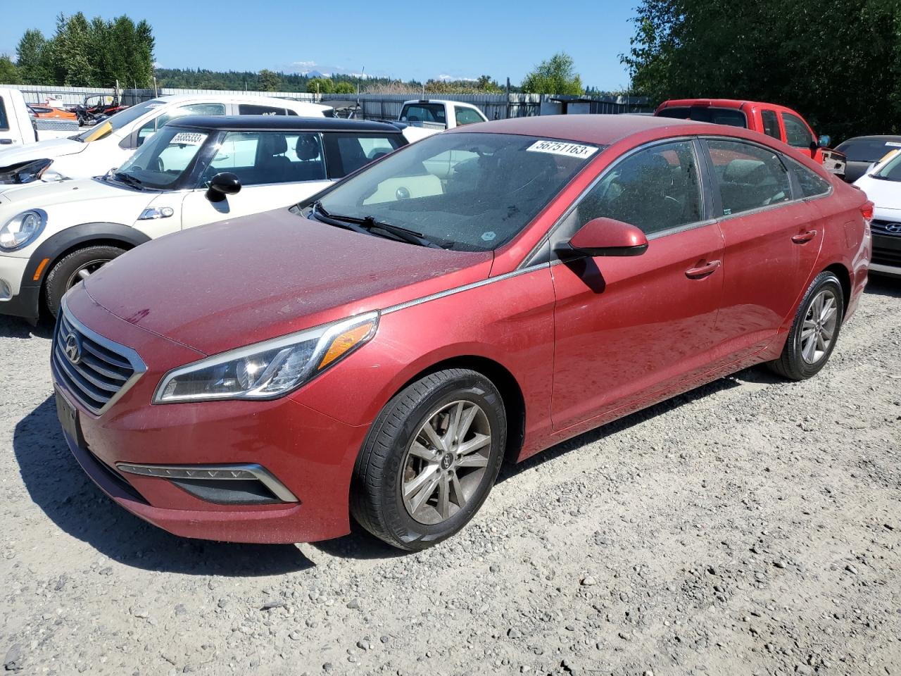 hyundai sonata 2015 5npe24af8fh038646