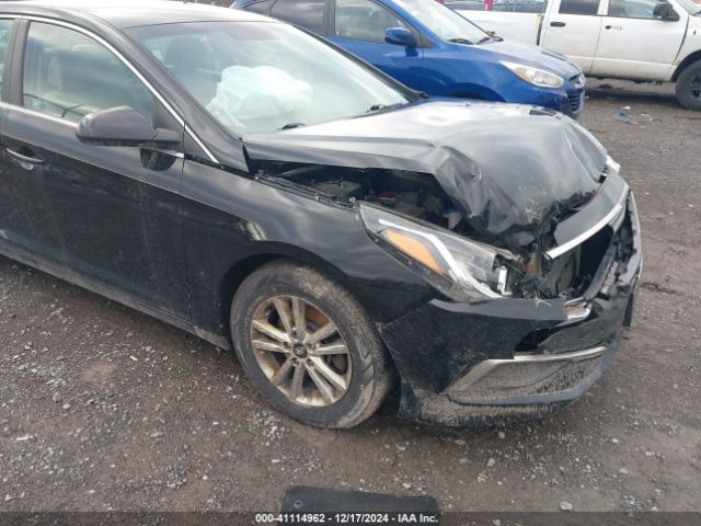 hyundai sonata 2017 5npe24af8hh594006