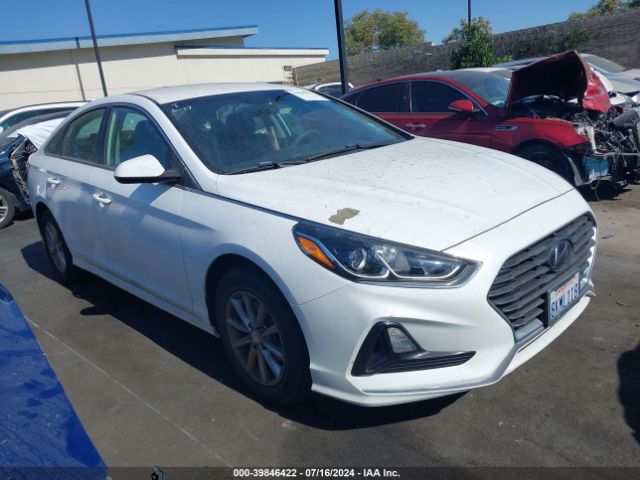 hyundai sonata 2019 5npe24af8kh752044