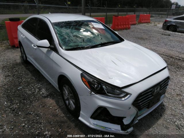 hyundai sonata 2019 5npe24af8kh803056