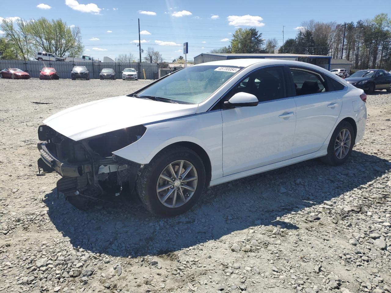 hyundai sonata 2019 5npe24af9kh736645