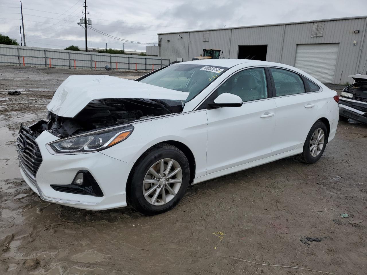 hyundai sonata 2019 5npe24af9kh781097