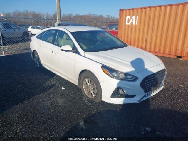 hyundai sonata 2019 5npe24af9kh808587