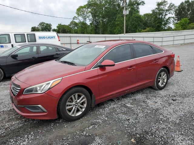 hyundai sonata 2016 5npe24afxgh301933