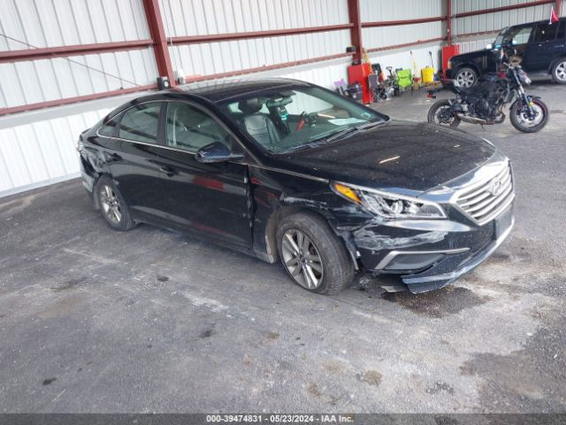 hyundai sonata 2016 5npe24afxgh345785