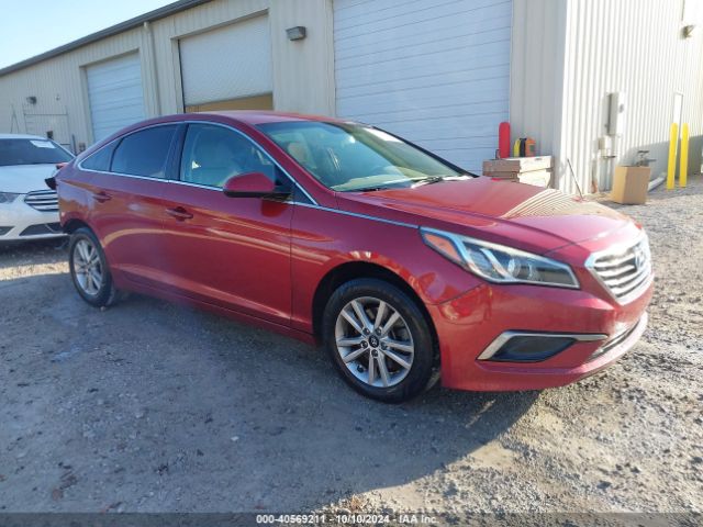 hyundai sonata 2016 5npe24afxgh364885