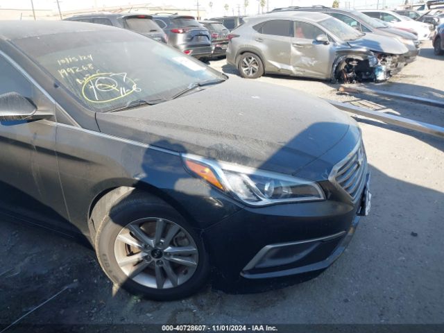 hyundai sonata 2016 5npe24afxgh383792