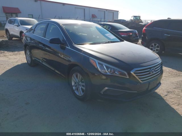 hyundai sonata 2016 5npe24afxgh427290