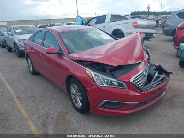 hyundai sonata 2017 5npe24afxhh528105