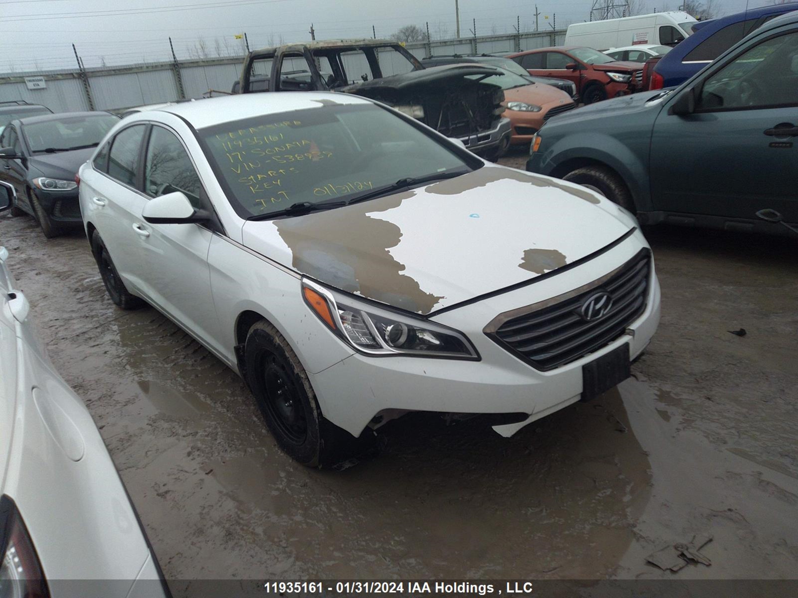 hyundai sonata 2017 5npe24afxhh538939