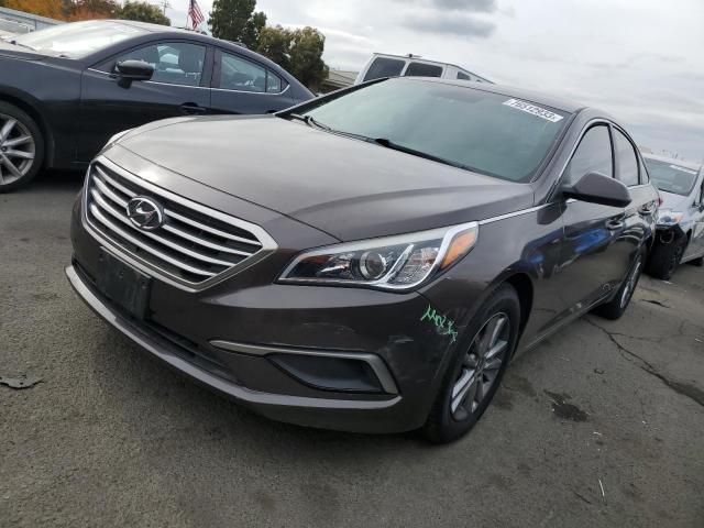 hyundai sonata 2017 5npe24afxhh557197