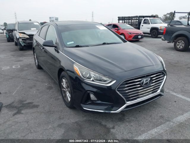 hyundai sonata 2019 5npe24afxkh742809