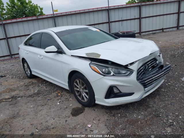 hyundai sonata 2019 5npe24afxkh743037