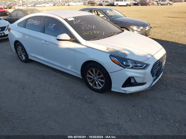 hyundai sonata 2019 5npe24afxkh757665