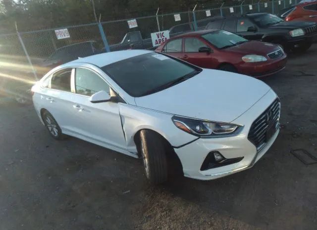 hyundai sonata 2019 5npe24afxkh763692