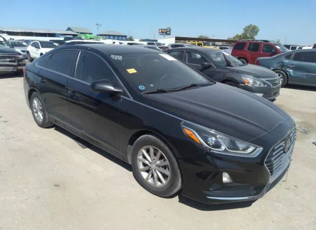 hyundai sonata 2019 5npe24afxkh764437