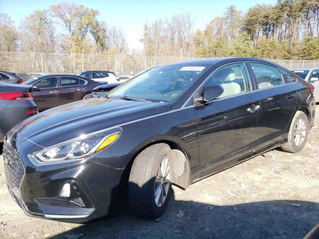 hyundai sonata se 2019 5npe24afxkh801387