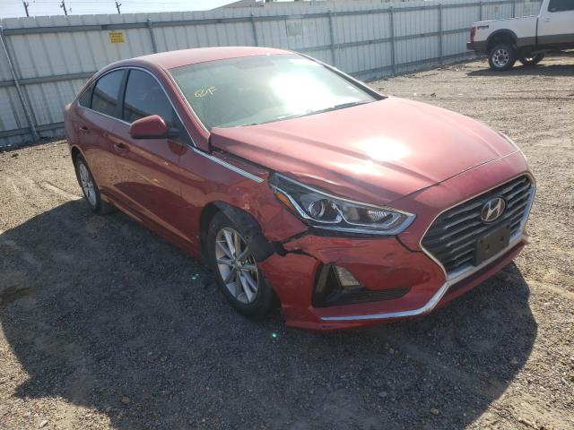 hyundai sonata se 2019 5npe24afxkh805598