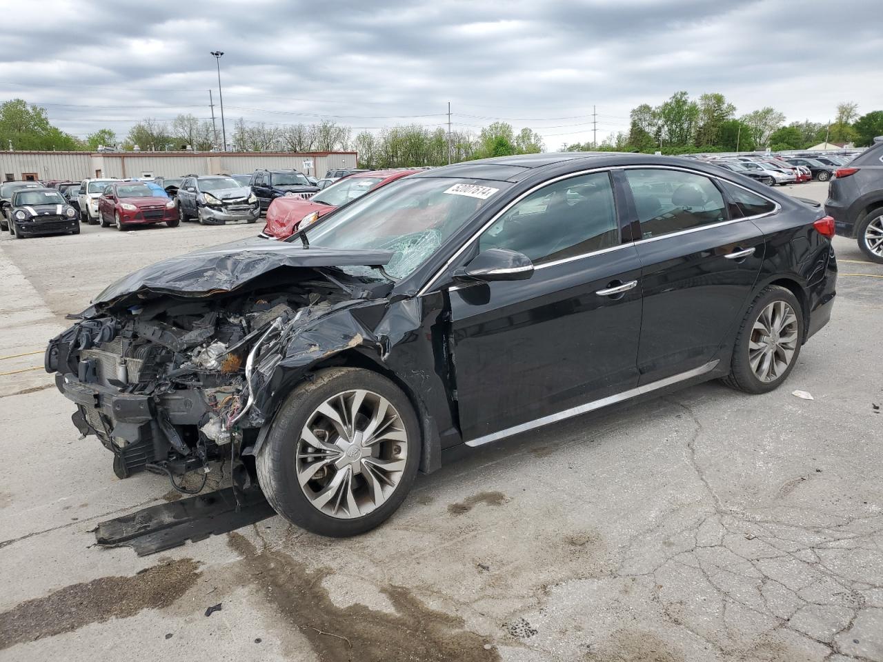 hyundai sonata 2015 5npe34ab5fh136592