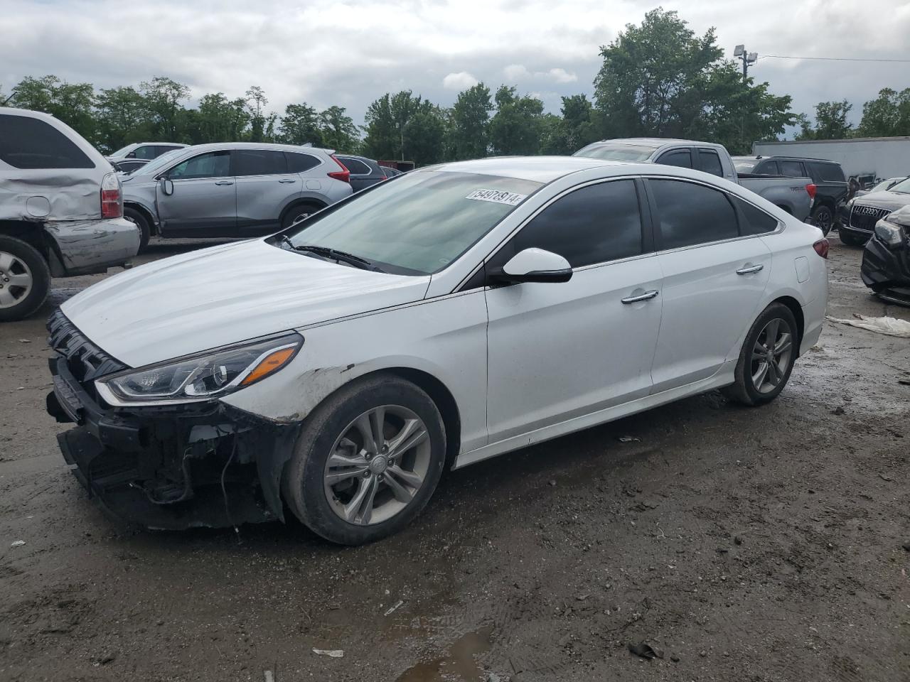 hyundai sonata 2018 5npe34af0jh636154