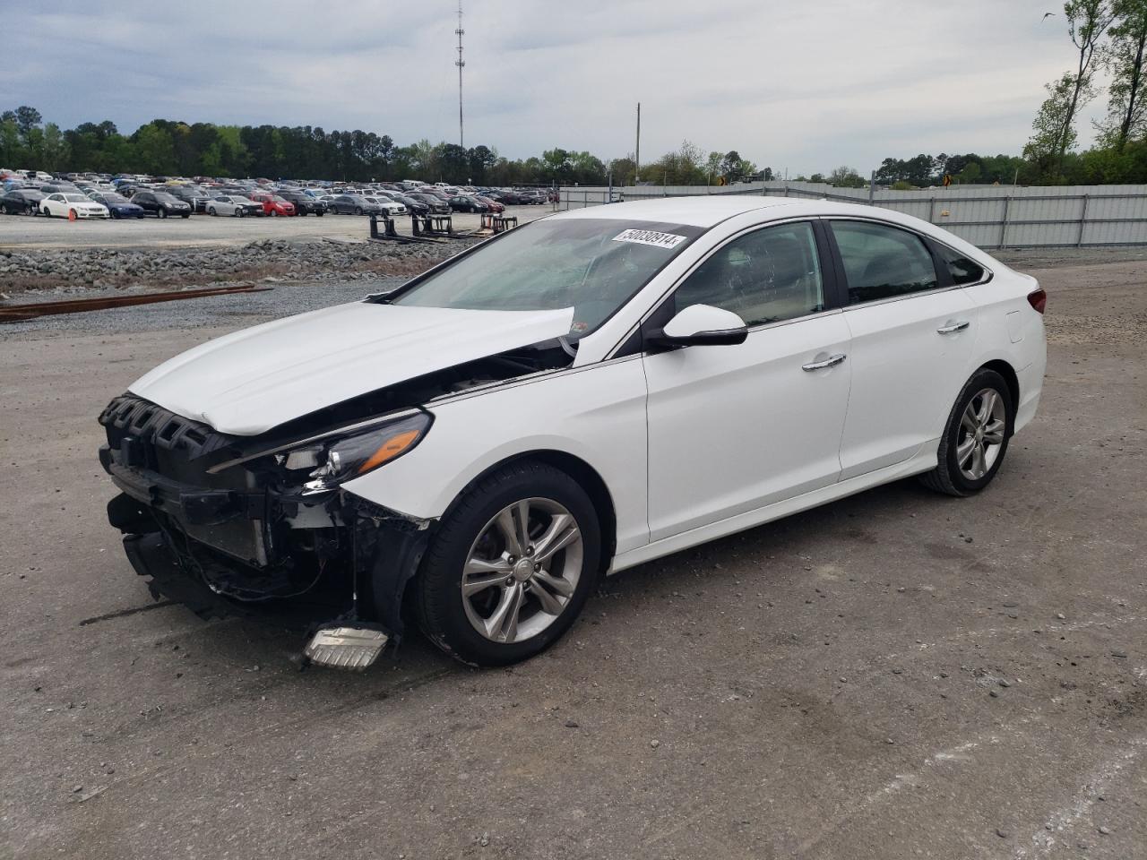 hyundai sonata 2019 5npe34af0kh780773