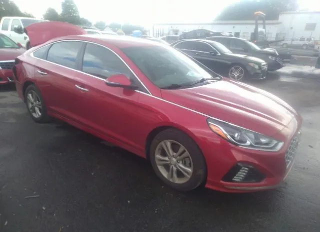 hyundai sonata 2019 5npe34af0kh817241