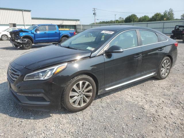 hyundai sonata spo 2016 5npe34af1gh330413