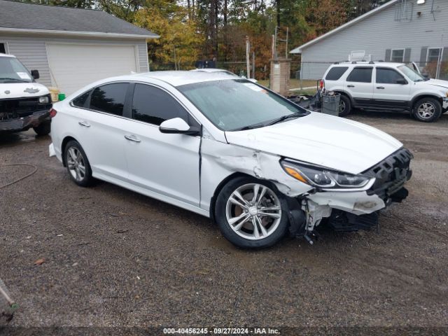 hyundai sonata 2019 5npe34af2kh809531