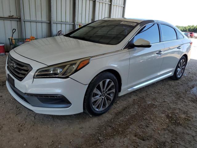 hyundai sonata 2017 5npe34af3hh452904