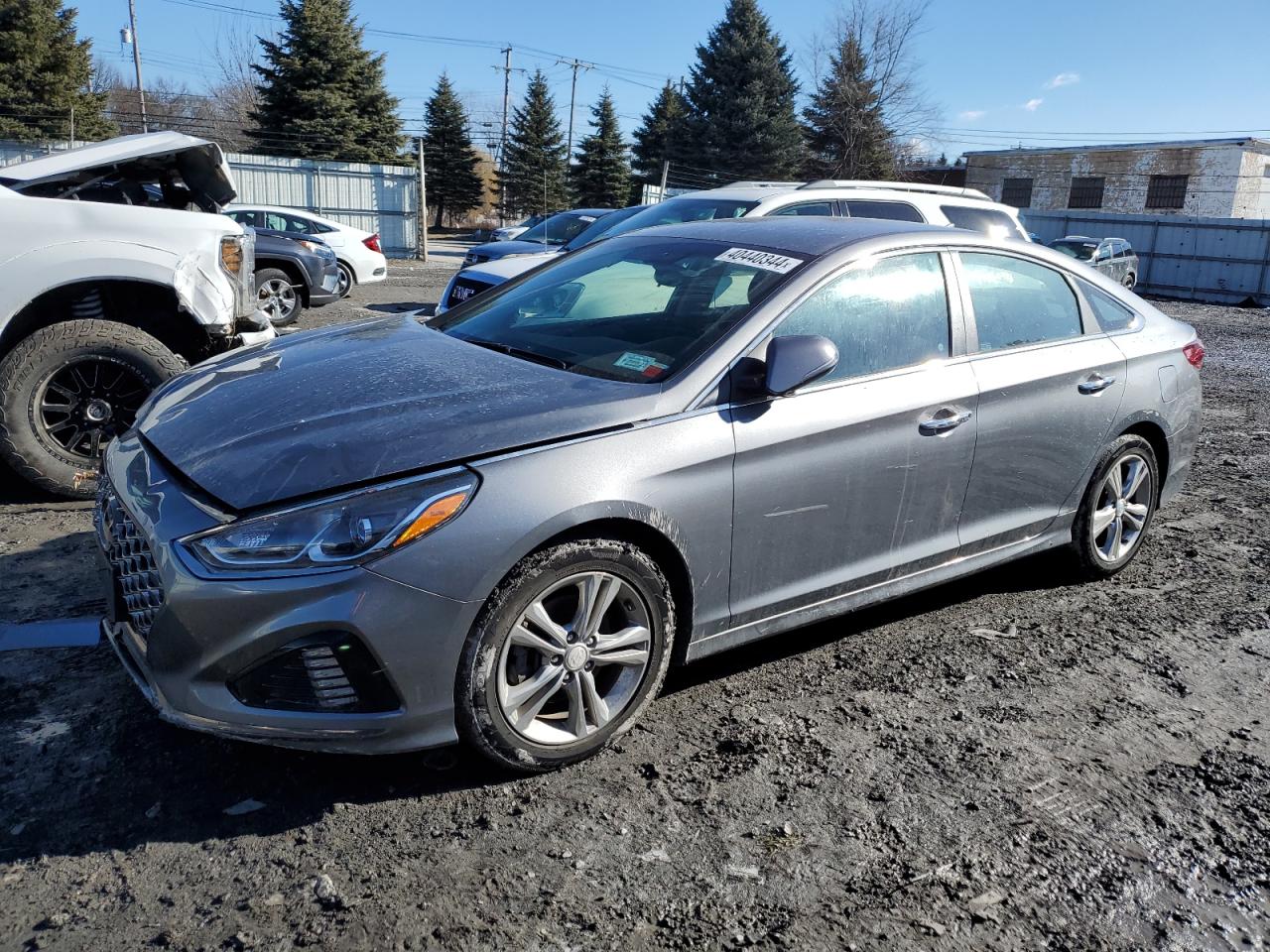 hyundai sonata 2019 5npe34af3kh745371