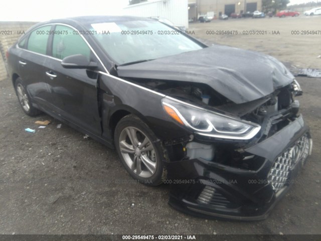 hyundai sonata 2019 5npe34af3kh815421