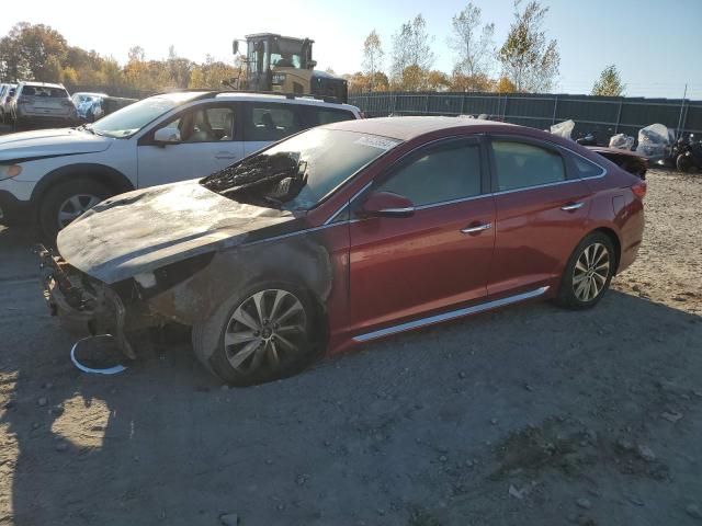 hyundai sonata spo 2016 5npe34af5gh366816