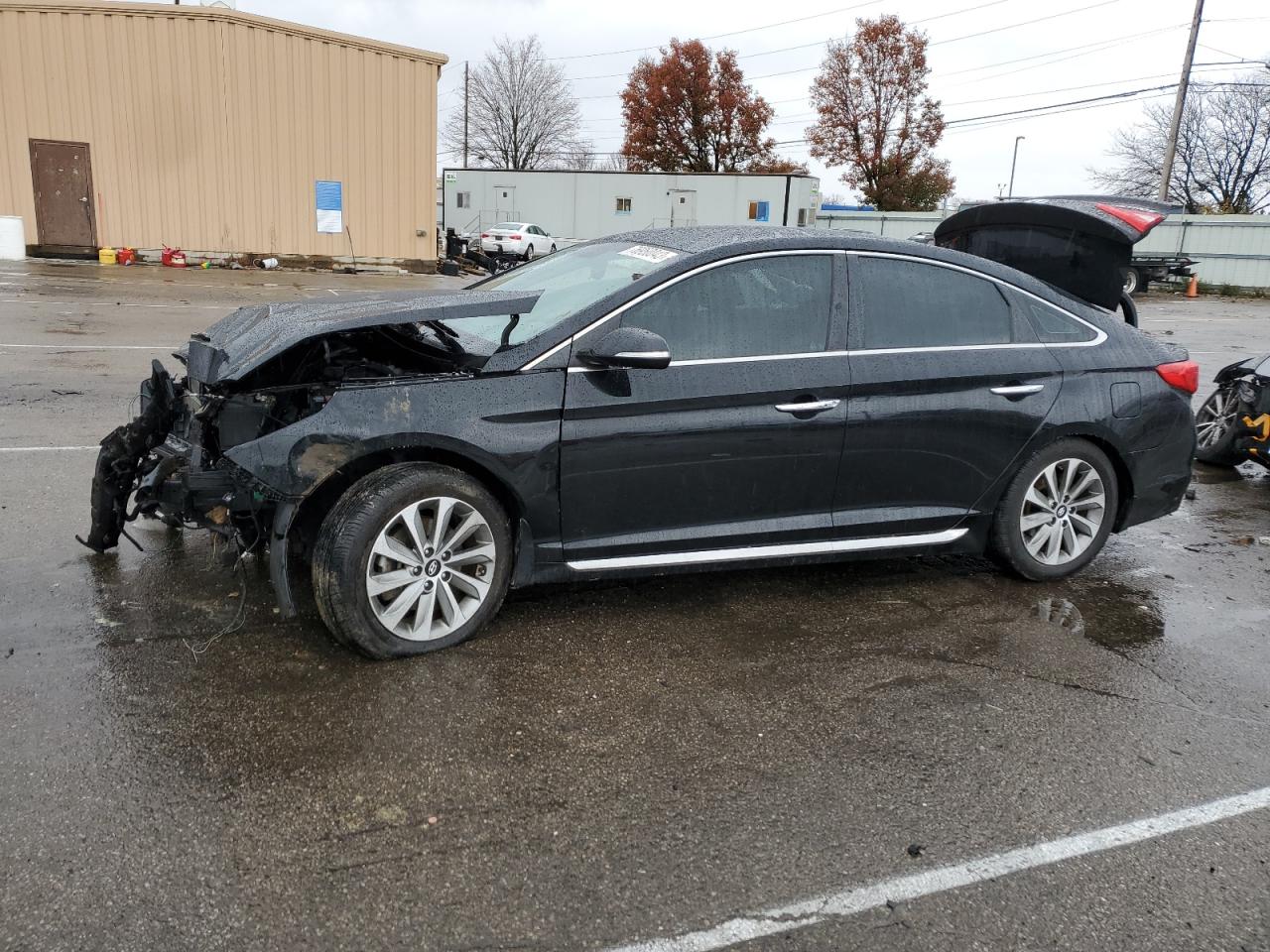 hyundai sonata 2016 5npe34af6gh350155