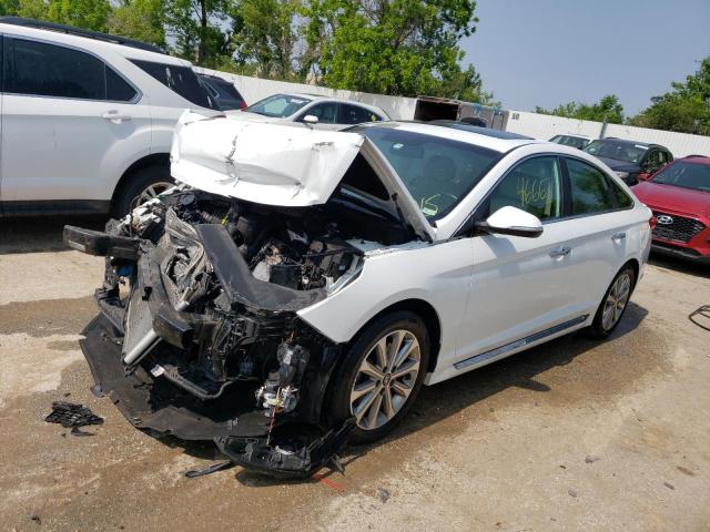 hyundai sonata spo 2016 5npe34af6gh392146