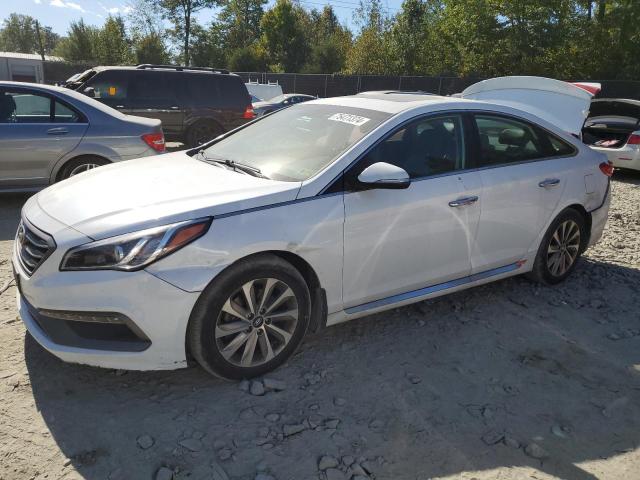 hyundai sonata spo 2016 5npe34af6gh412802