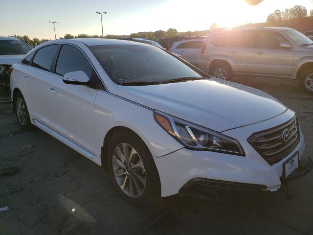 hyundai sonata spo 2017 5npe34af6hh447597