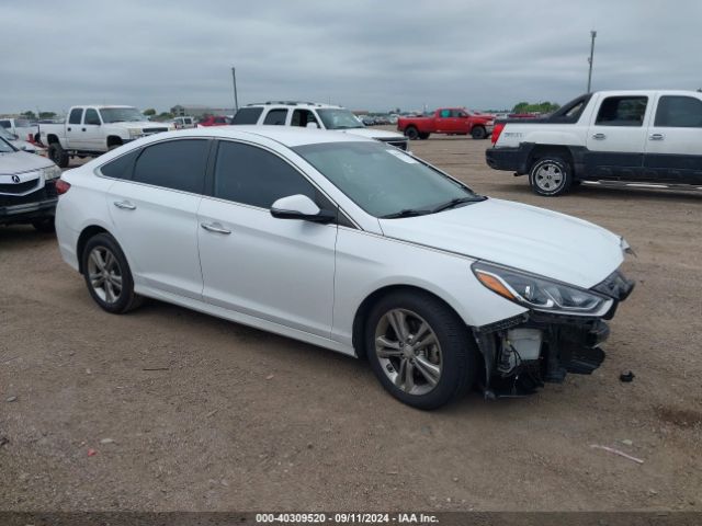 hyundai sonata 2019 5npe34af6kh763296