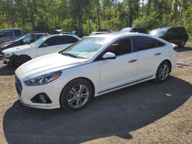 hyundai sonata lim 2019 5npe34af6kh790157