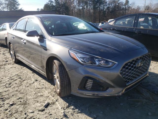 hyundai sonata lim 2019 5npe34af6kh813131