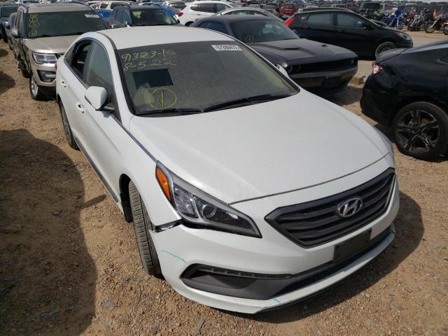 hyundai sonata spo 2016 5npe34af7gh339228