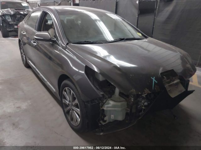 hyundai sonata 2016 5npe34af7gh431276