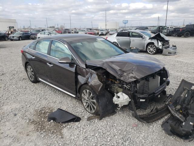 hyundai  2016 5npe34af7gh435344