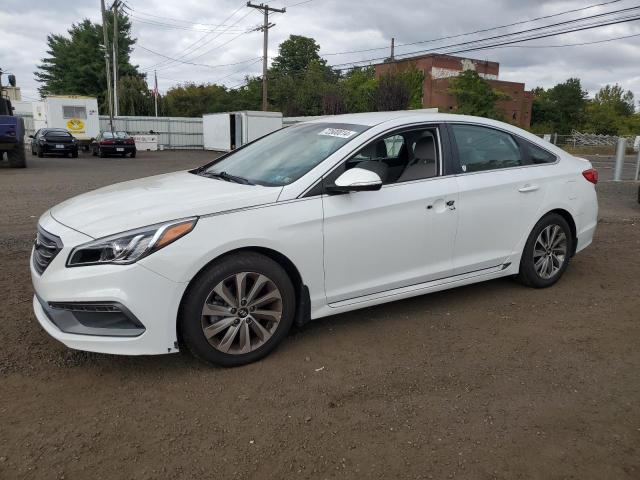 hyundai sonata spo 2016 5npe34af8gh416091