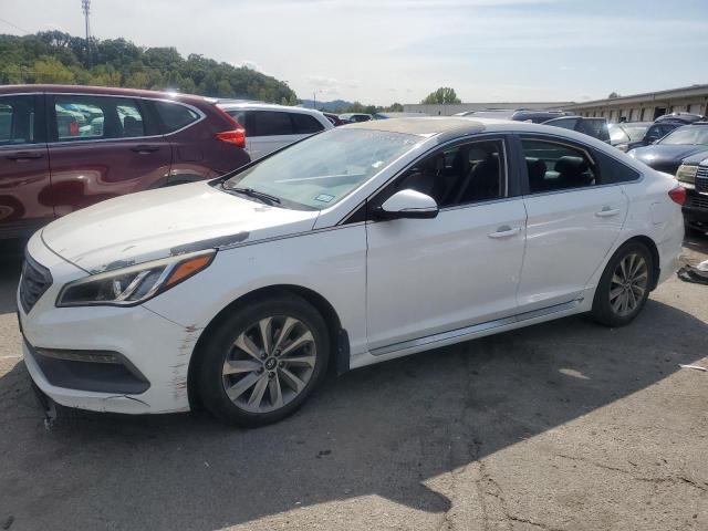 hyundai sonata spo 2017 5npe34af8hh438500