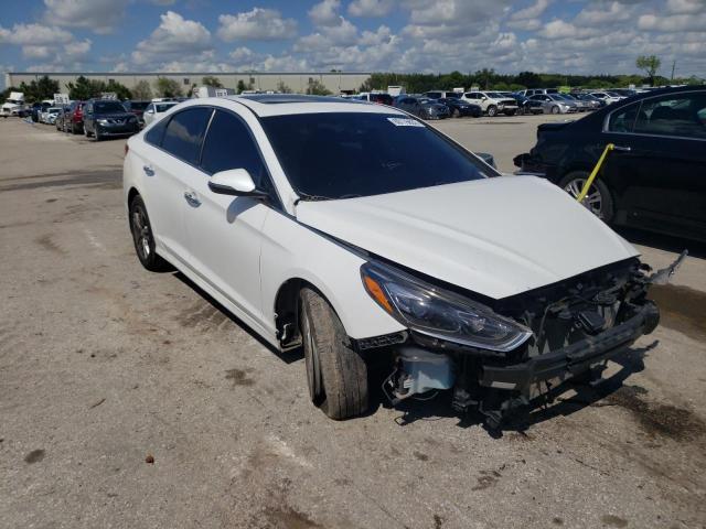 hyundai sonata spo 2018 5npe34af8jh704250