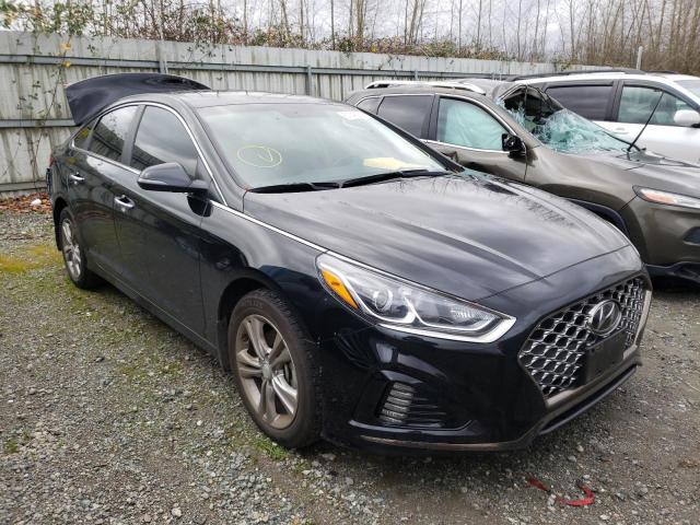 hyundai sonata lim 2019 5npe34af8kh813261