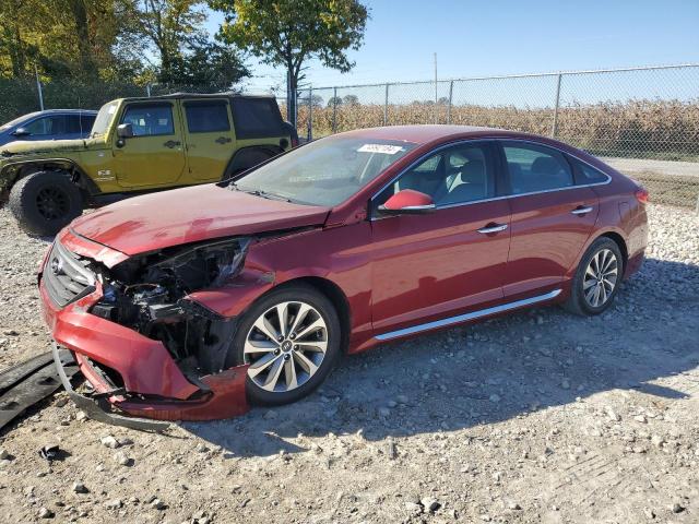 hyundai sonata spo 2016 5npe34af9gh354488