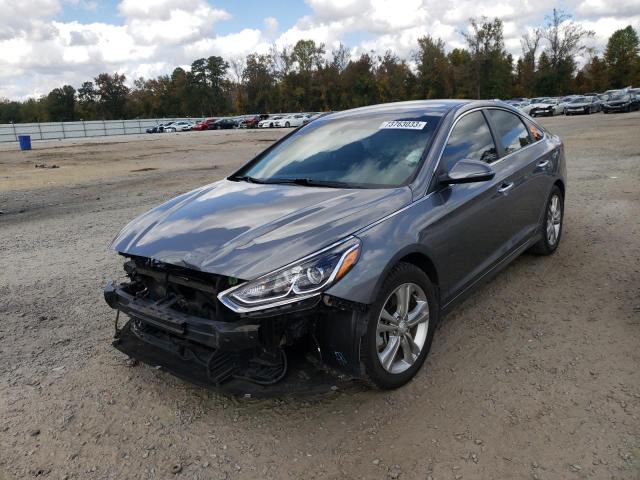 hyundai sonata 2019 5npe34af9kh743494