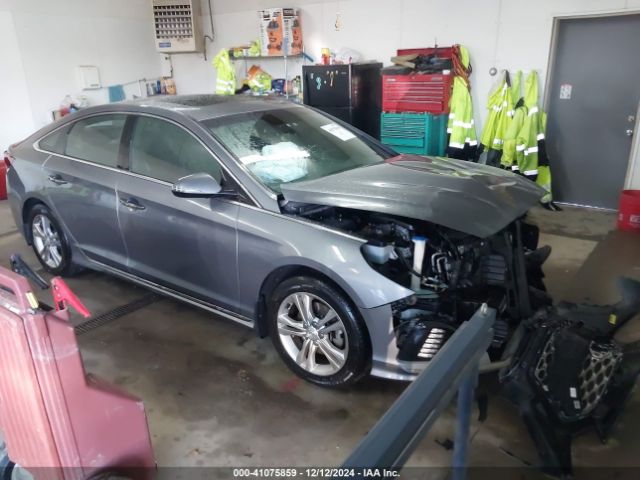 hyundai sonata 2019 5npe34af9kh815374